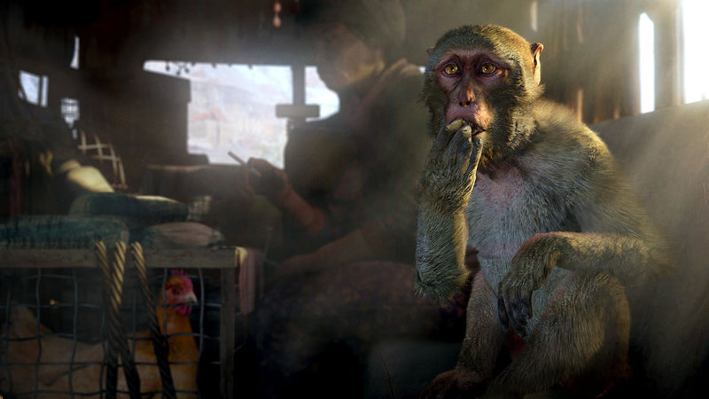 Far Cry 4 Gold Edition Inclui Todas Dlcs - Ps3 Psn - Mídia Digital